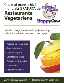 example- right click to download