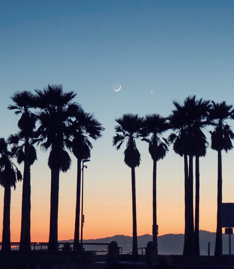 Vegan Top City - Los Angeles