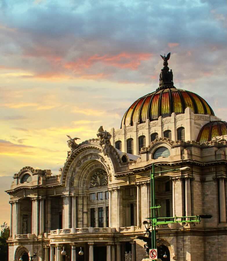 Vegan Top City - Mexico City