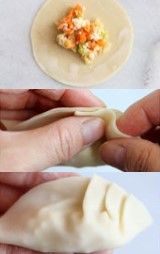 Vegetable Dumplings